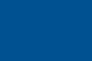 United Way Blue